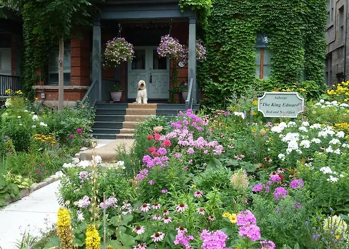 Bed and Breakfast Auberge King Edward Bed And Breakfast