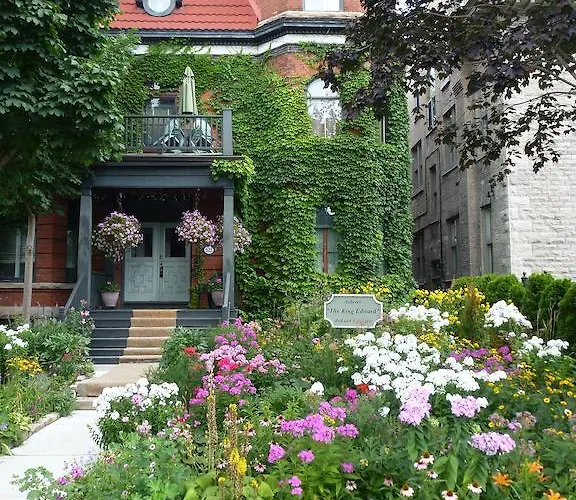 Bed and Breakfast Auberge King Edward Bed And Breakfast